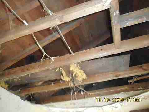 14359 Westwood 2nd trip (23)_m.jpg